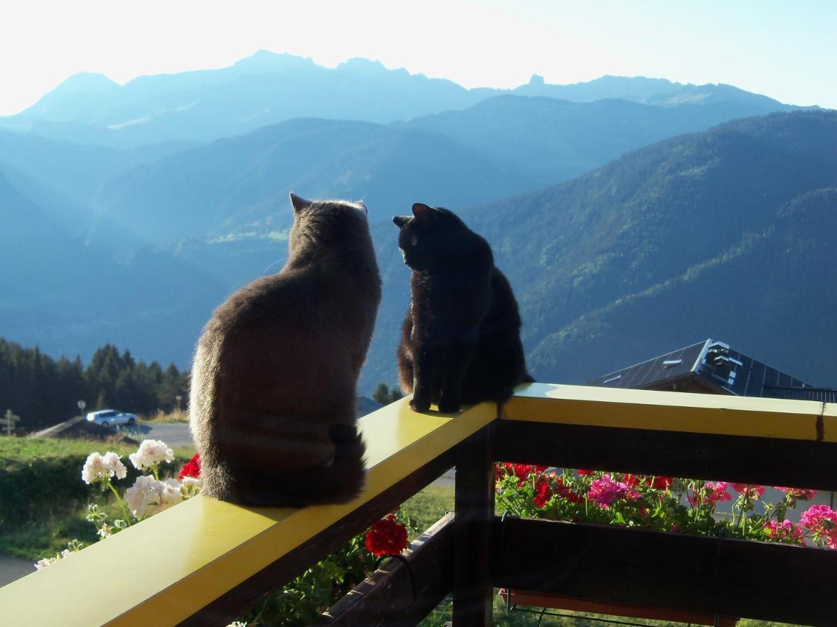 Le Chalet De Bisanne レ・セジー エクステリア 写真